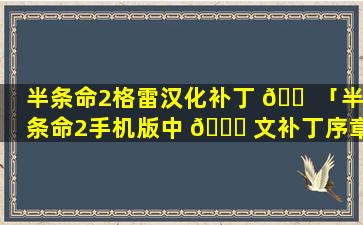 半条命2格雷汉化补丁 🐠 「半条命2手机版中 🐎 文补丁序章」